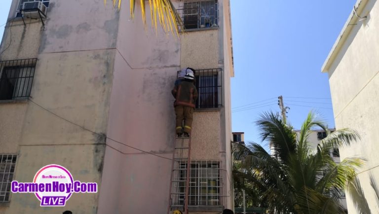 La mujer araña carmela