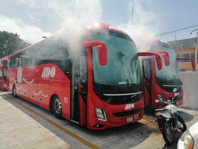 Fumigación en central de Autobuses