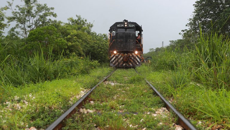 Al 10% de solicitudes para laborar en Tren Maya: FTC