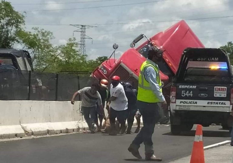 Rapiñan tráiler de cerditos en Hecelchakán