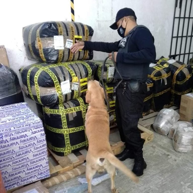 Operativo canino en empresas de mensajería y paquetería