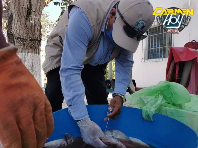 Operativo Cuaresma para vigilar calidad e higiene en productos de mar