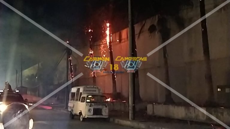 Indigente causa incendio