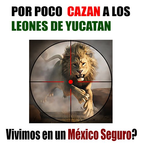 Atacan a Leones de Yucatán con disparos y piedras  y   - Noticias y Programas de Entretenimiento