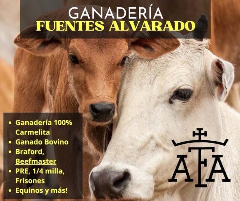 Ganador carmelita ganadería Fuentes Alvarado