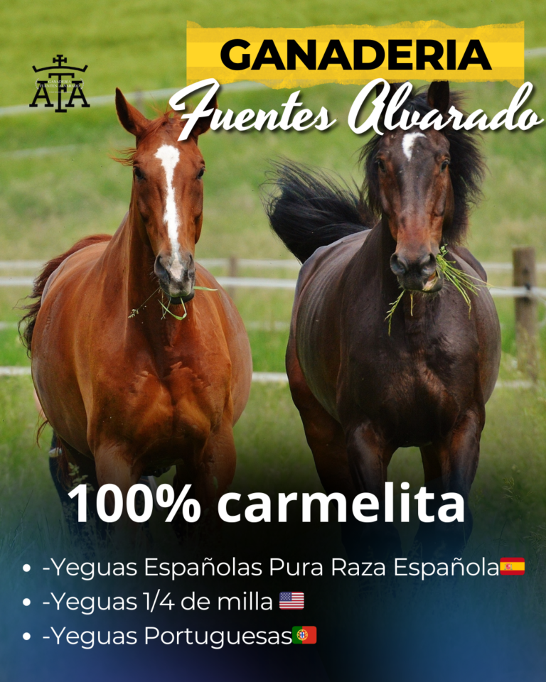 Caballos seleccionados