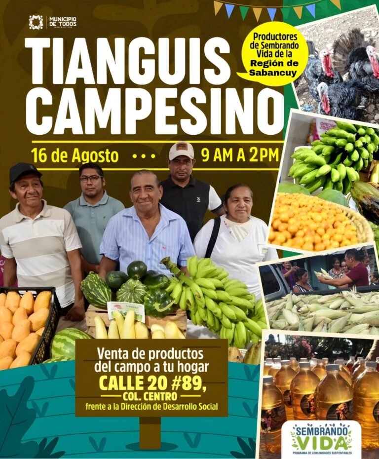 HOY tianguis campesino