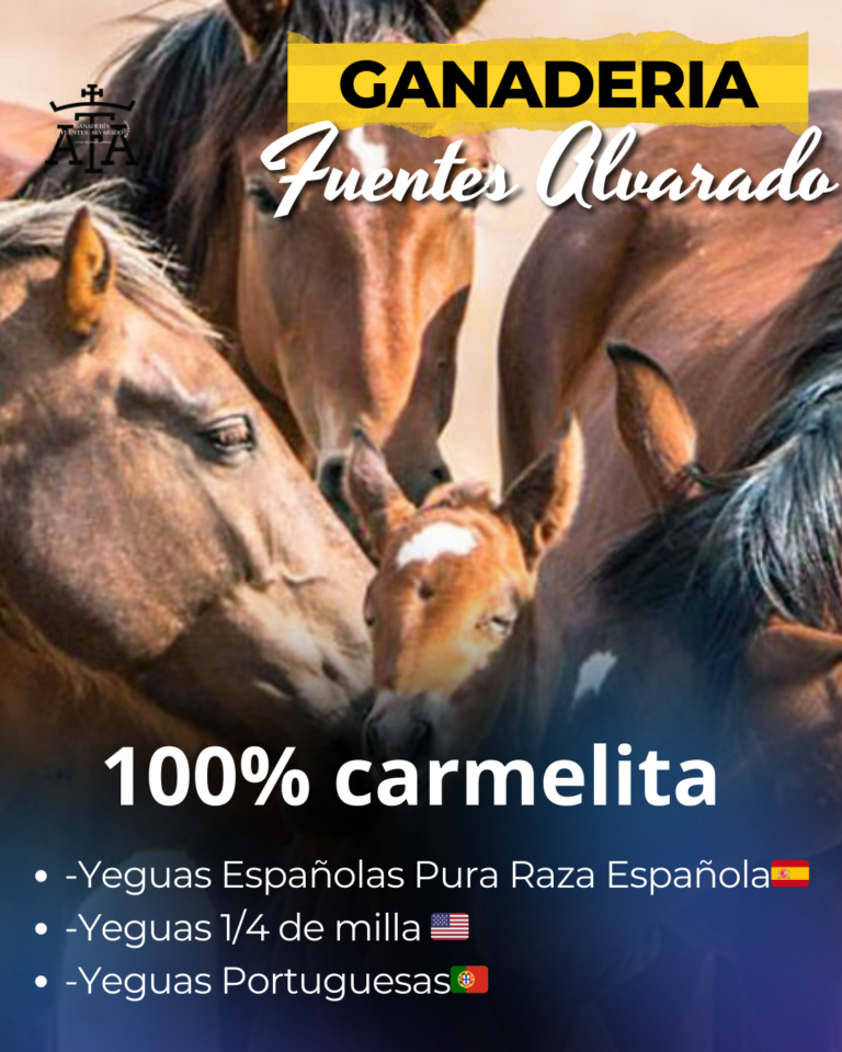 Los caballos son animales nobles, inteligentes y sensibles: AFA