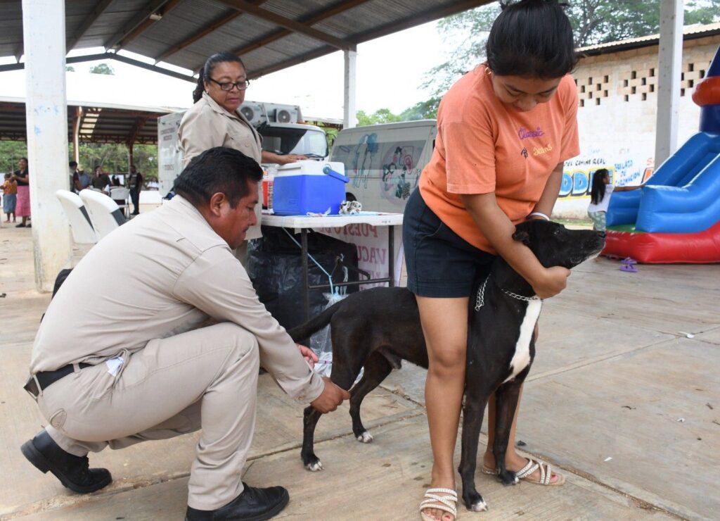 WhatsApp-Image-2025-08-18-at-3.23.00-PM-1-1-1024x740 Aplican más de 8 Mil vacunas antirrábicas en una semana