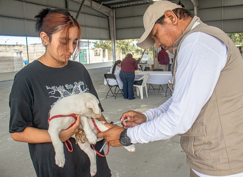 WhatsApp-Image-2025-08-18-at-3.23.01-PM-1-1 Aplican más de 8 Mil vacunas antirrábicas en una semana