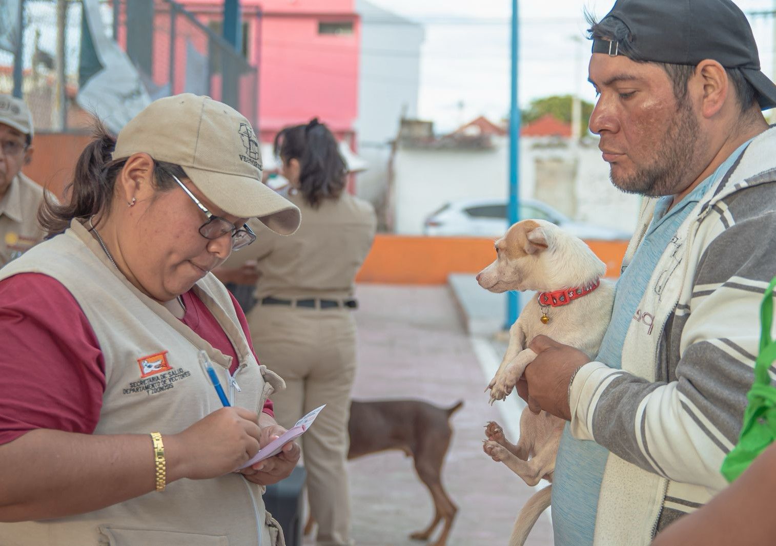 vacunas-antirrabicas-campeche