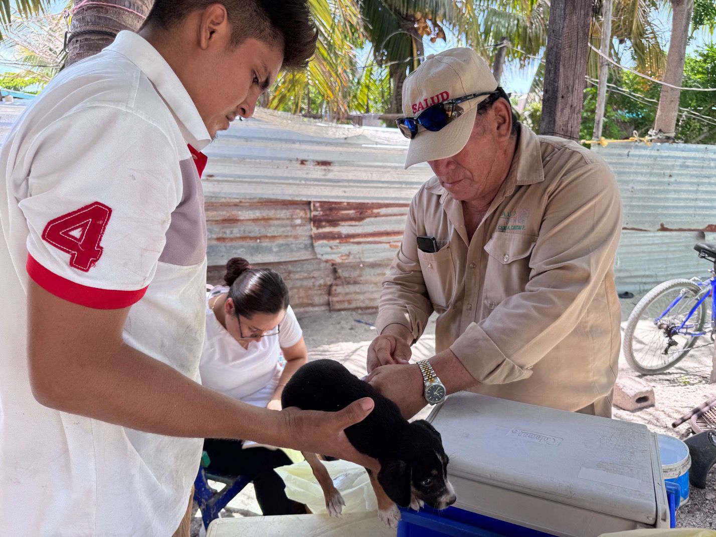 vacunacion antirrabica