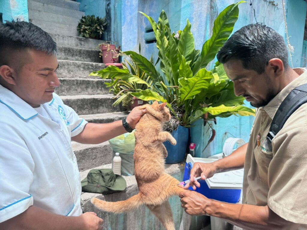 WhatsApp-Image-2025-08-26-at-10.55.14-AM-3-1024x768 Realizan jornada intensiva de vacunación antirrábica en #CARMEN