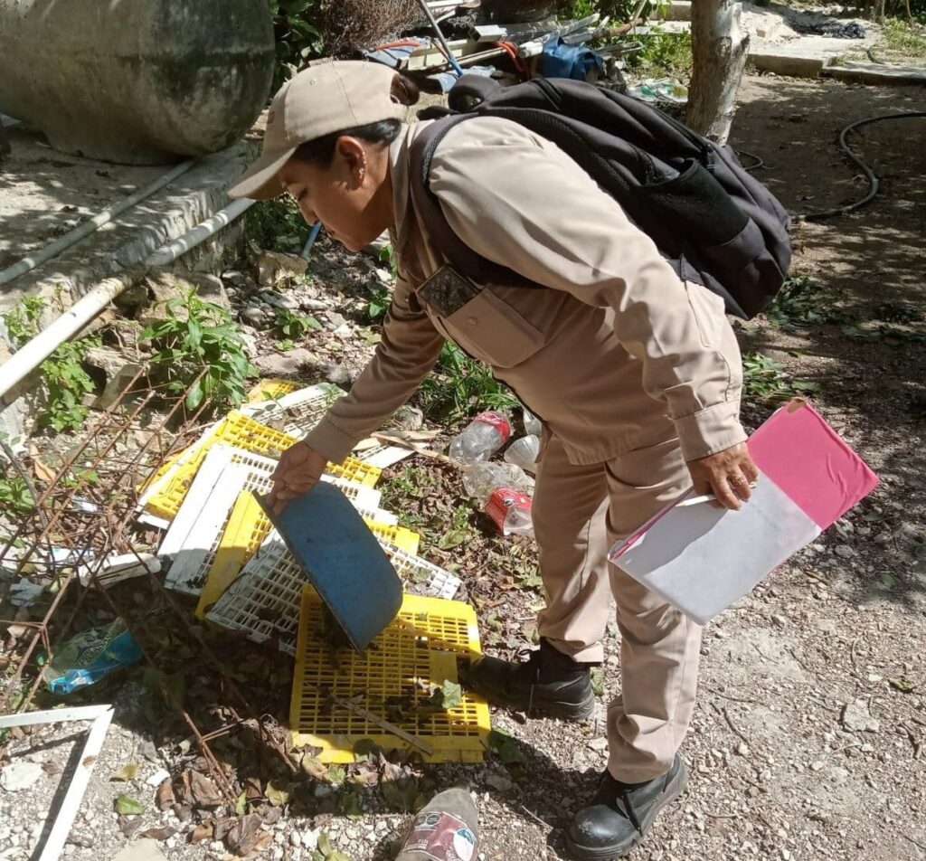 WhatsApp-Image-2025-10-02-at-8.57.08-PM-2-1024x952 Eliminan 476 Mil 945 criaderos de moscos del dengue con control larvario