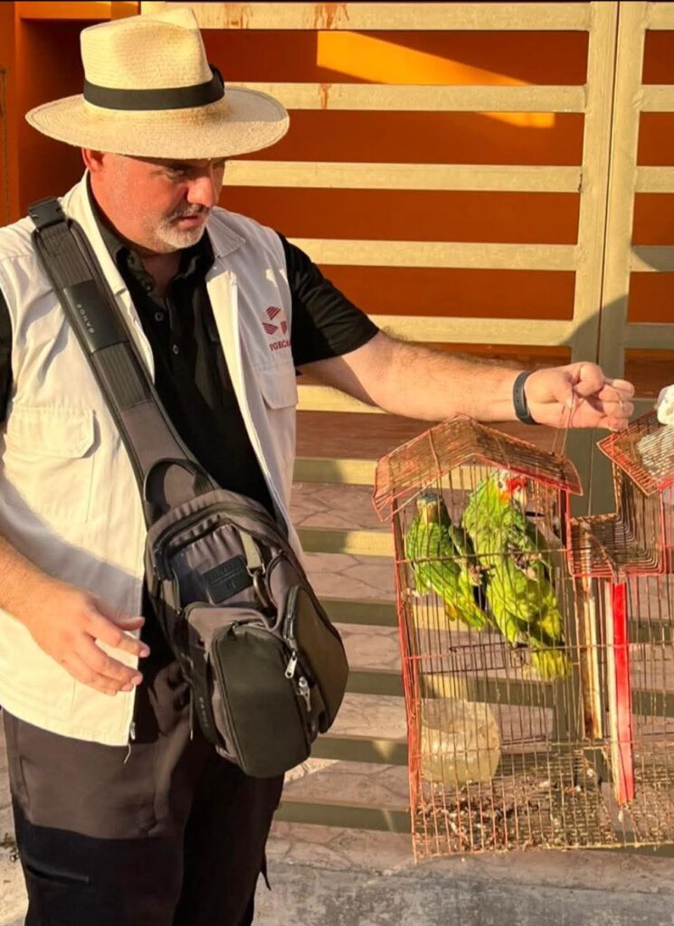WhatsApp-Image-2025-10-16-at-12.39.41-PM-745x1024 Fiscalía de Campeche Recupera Canino y Loros Abandonados