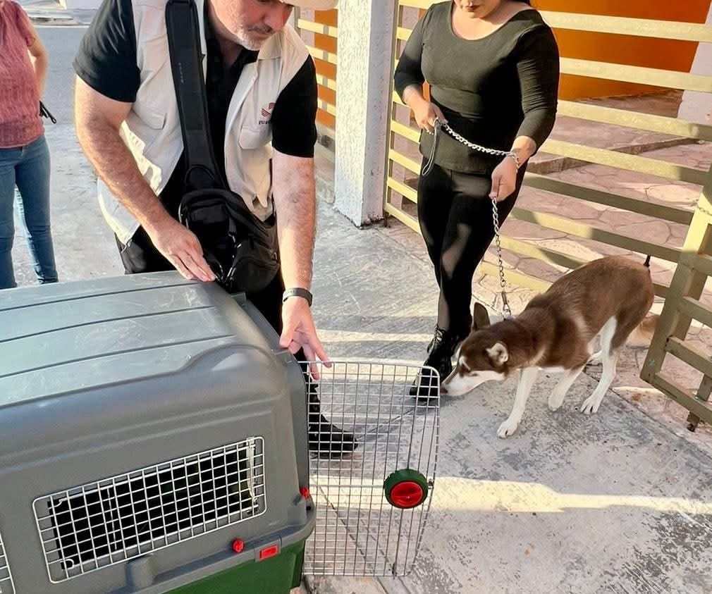 fiscalia-general-del-estado