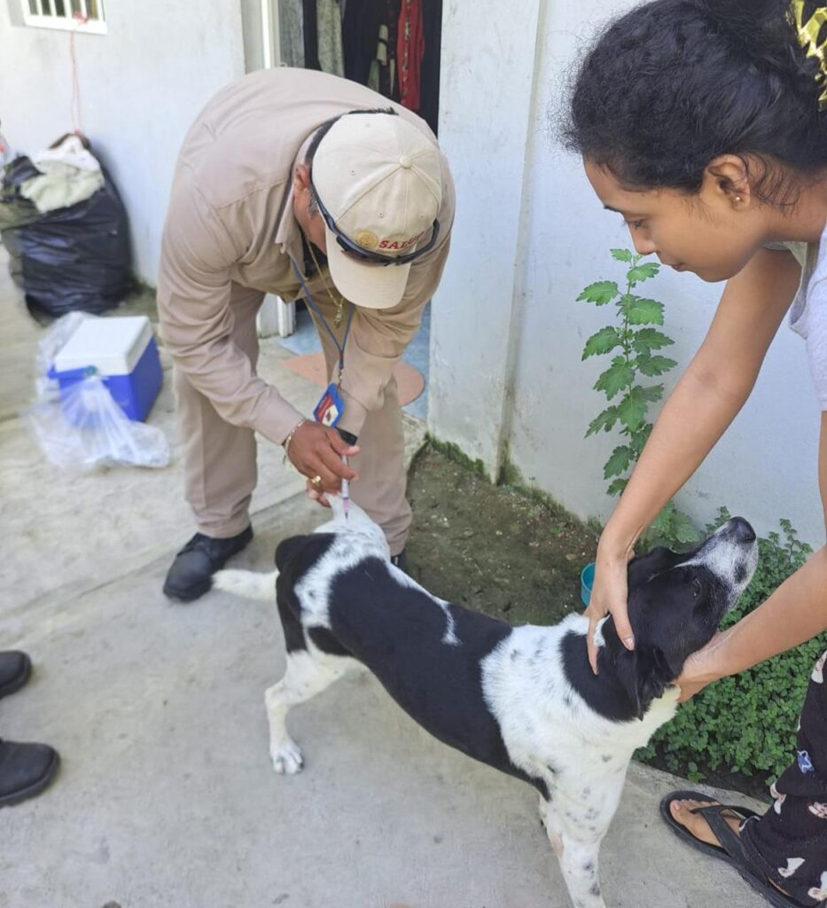 WhatsApp-Image-2025-10-19-at-11.12.55-PM-2-933x1024 PROTEGIDOS 98,612 PERROS Y GATOS CONTRA LA RABIA EN TODO EL ESTADO