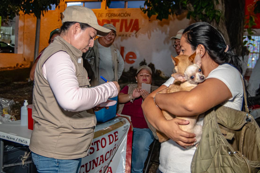 mascotas-vacunadas
