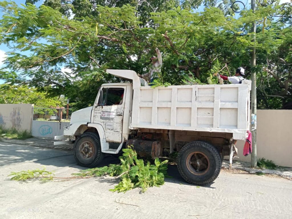 WhatsApp-Image-2025-10-19-at-11.12.56-PM-1-1024x768 Poda de Ramas en Paradaderos KO’OX