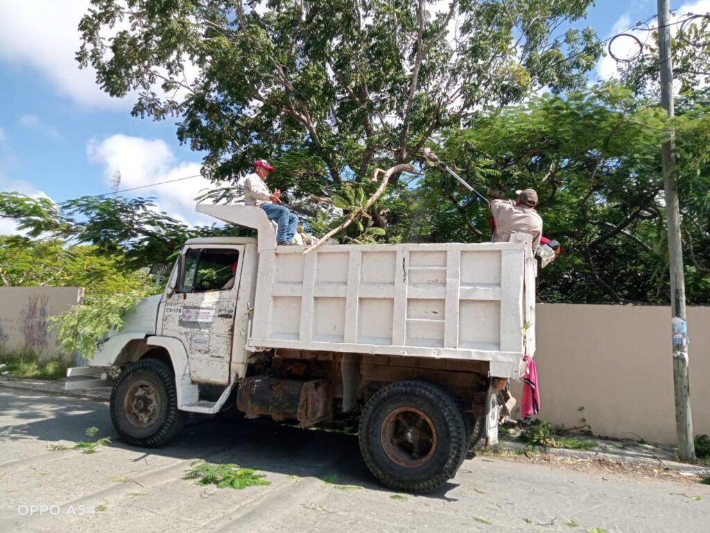 WhatsApp-Image-2025-10-19-at-11.12.56-PM-1024x768 Poda de Ramas en Paradaderos KO’OX