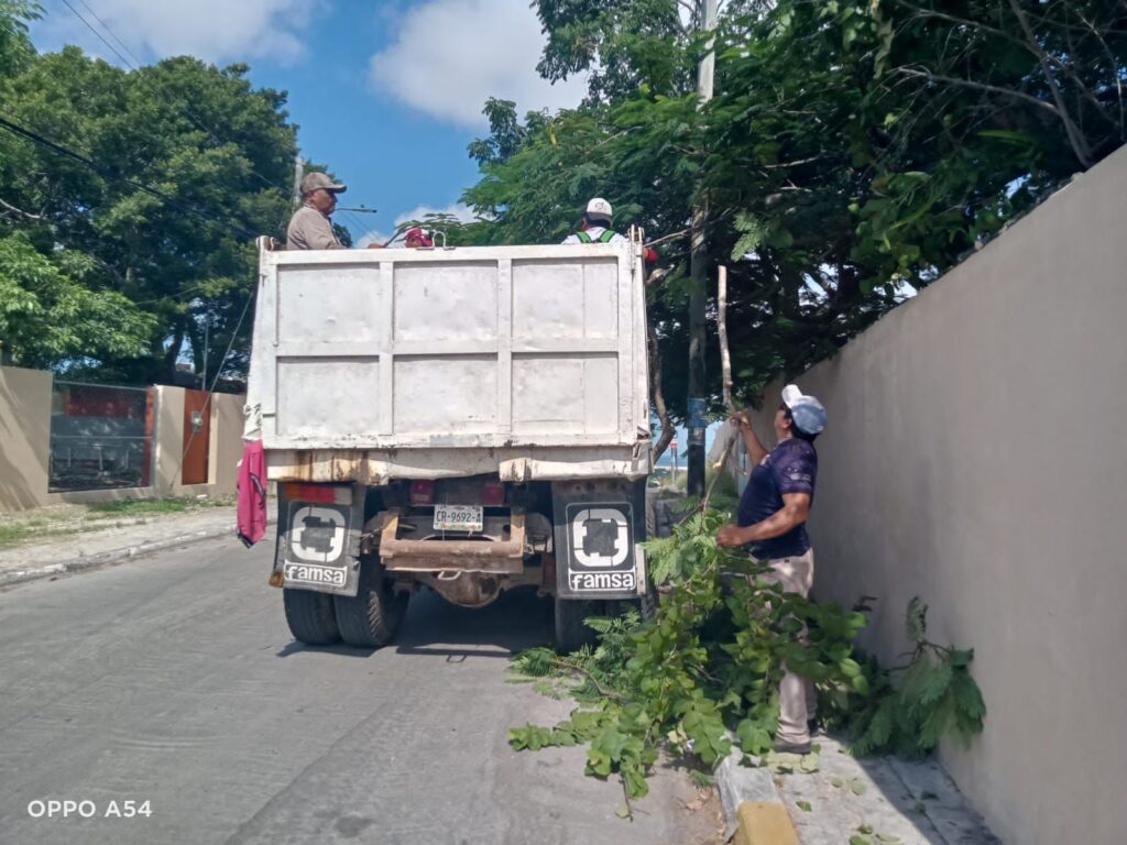 WhatsApp-Image-2025-10-19-at-11.12.56-PM-3-1024x768 Poda de Ramas en Paradaderos KO’OX