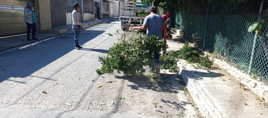 WhatsApp-Image-2025-10-19-at-11.12.57-PM-1-1024x451 Poda de Ramas en Paradaderos KO’OX