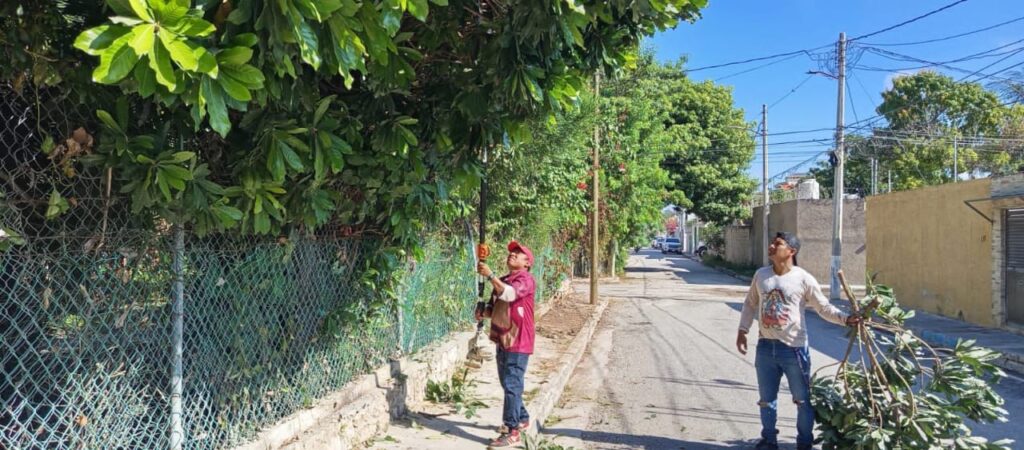 WhatsApp-Image-2025-10-19-at-11.12.57-PM-1024x450 Poda de Ramas en Paradaderos KO’OX