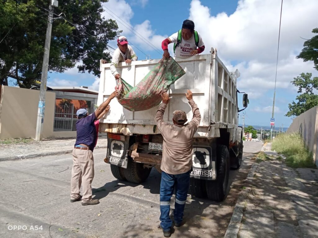 WhatsApp-Image-2025-10-19-at-11.12.57-PM-2-1024x768 Poda de Ramas en Paradaderos KO’OX