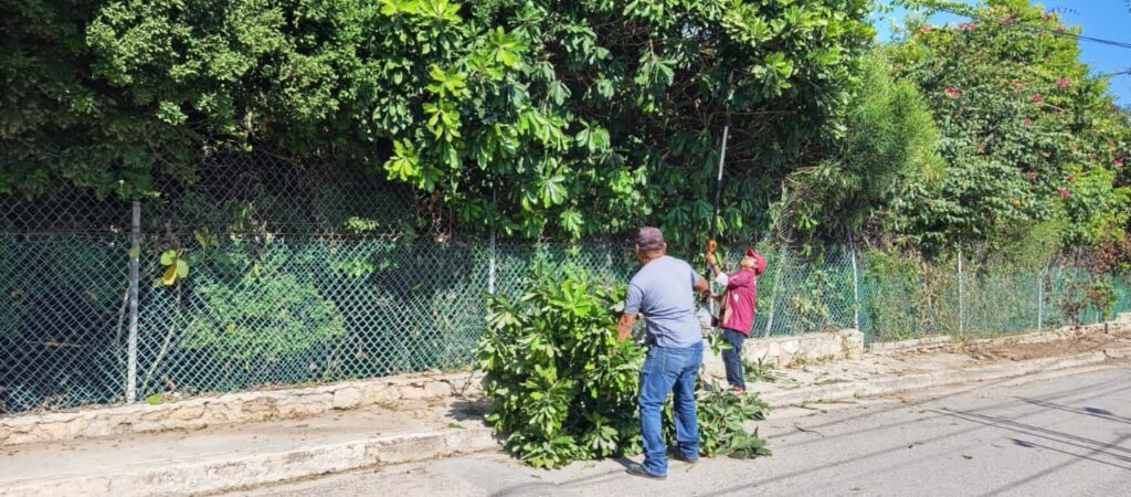 WhatsApp-Image-2025-10-19-at-11.12.57-PM-3-1024x450 Poda de Ramas en Paradaderos KO’OX