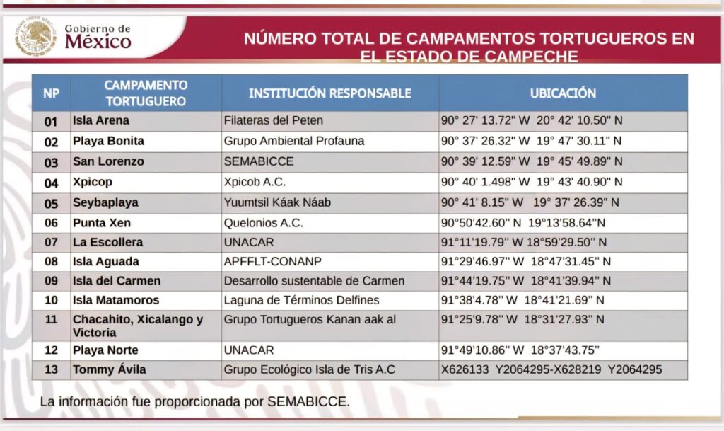 WhatsApp-Image-2025-10-20-at-4.26.13-PM-1-1024x609 Layda Sansores Reconoce y Apoya a Marina y Grupos Altruistas en Protección de las Tortugas Marinas