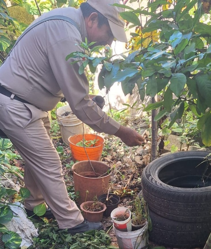 IMG-20251229-WA0105 Intensa y Permanente Lucha Contra el Dengue en 2025