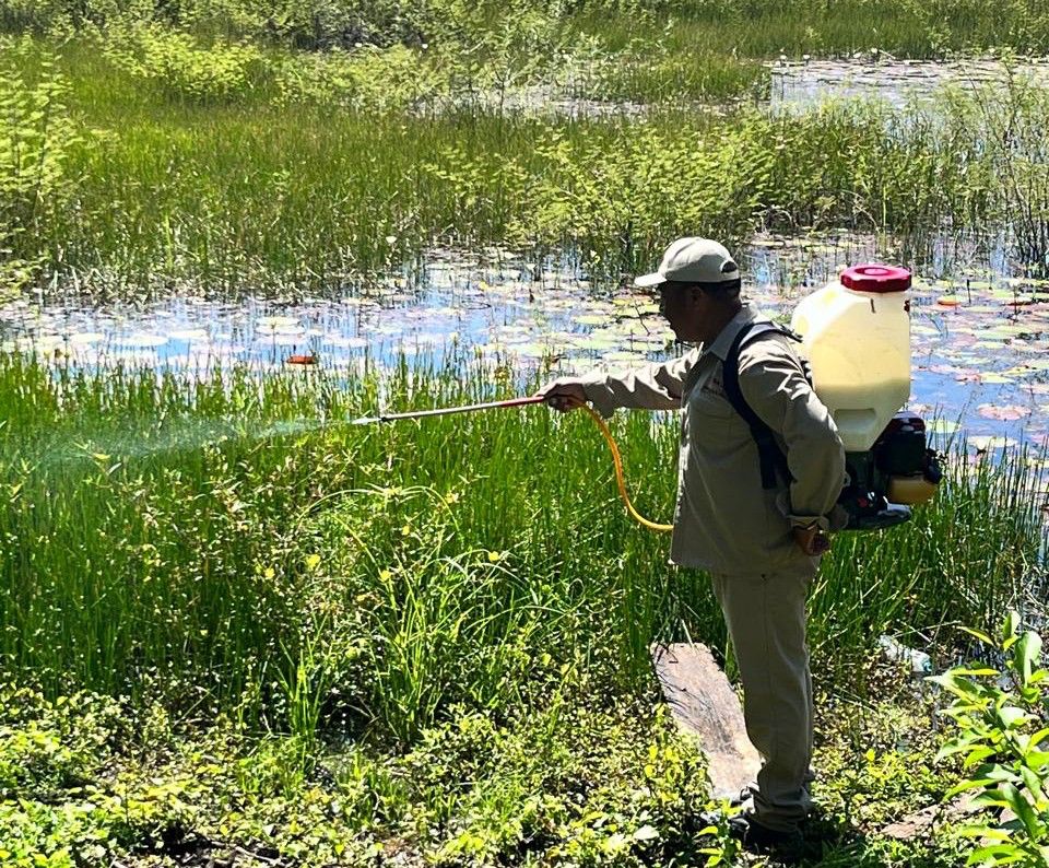 IMG-20251229-WA0140 Nebulizan Contra el Dengue 76 Mil 520 Hectáreas de Campeche