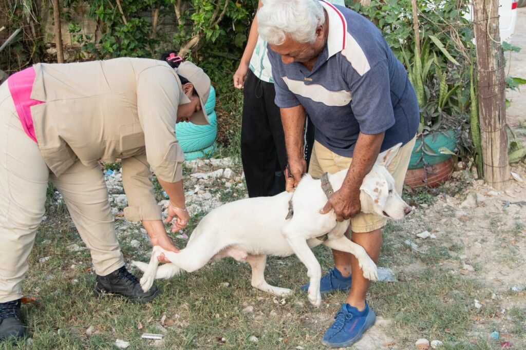 WhatsApp-Image-2026-01-15-at-5.51.39-PM-1024x682 Realizan Primeras Jornada de Salud en tu Barrio del 2026