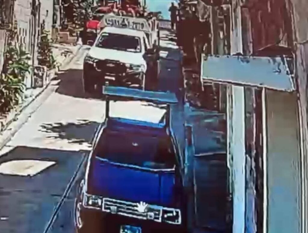 WhatsApp-Image-2026-03-03-at-9.52.19-PM-1024x776 Alexandro Brown Investiga Atropellamiento de Perrito